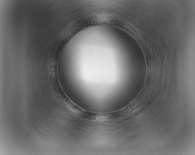 X0000071350462200607071728