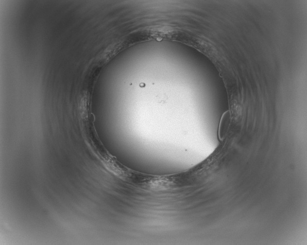 X0000071350468200607071728