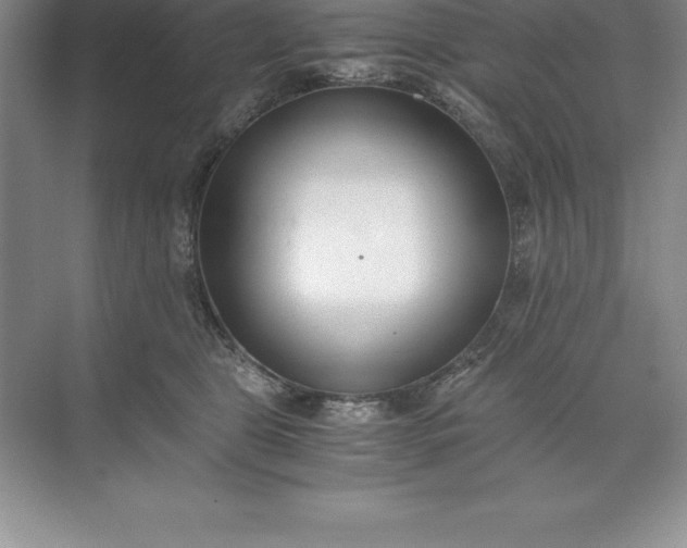 X0000071350469200607071728