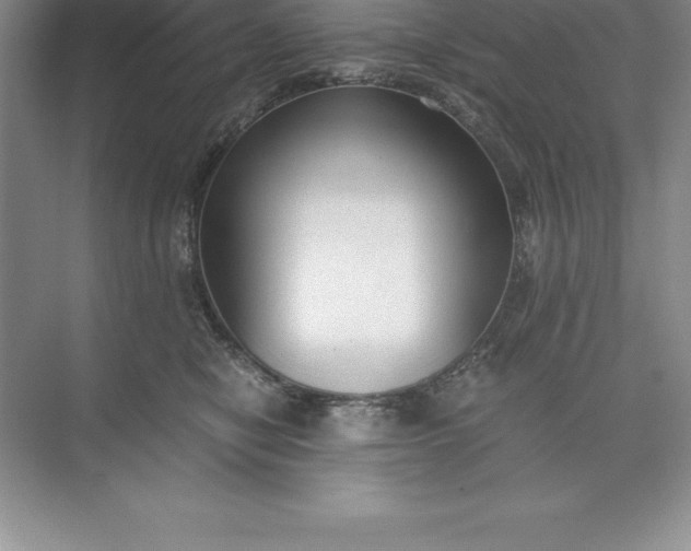 X0000071350470200607071729