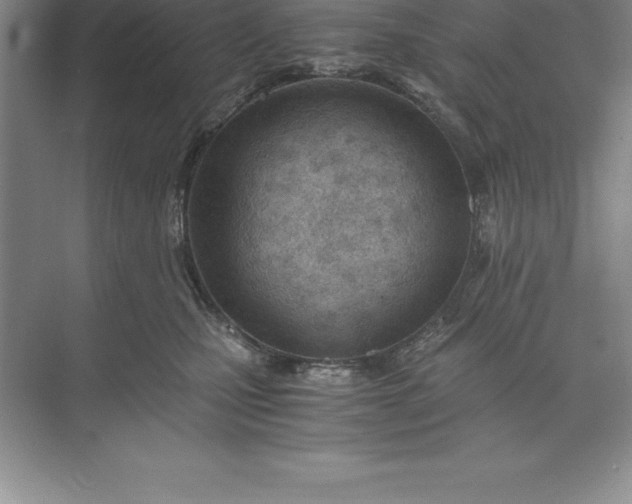 X0000071350471200607071729