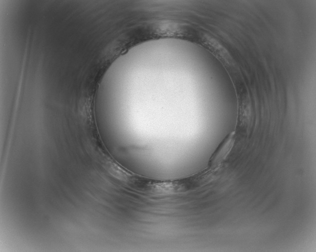 X0000071350473200607071729