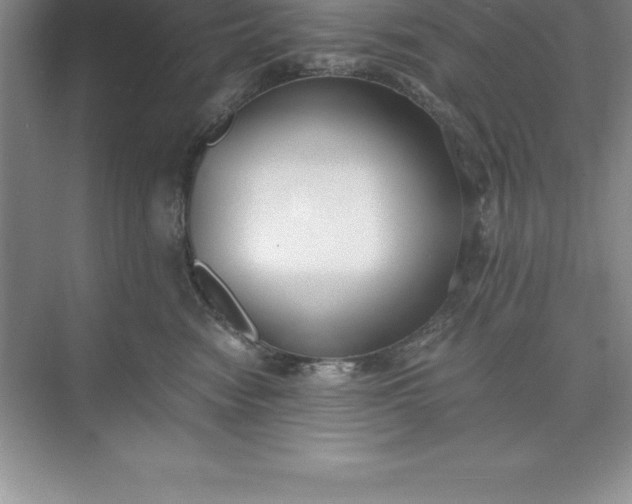 X0000071350474200607071729