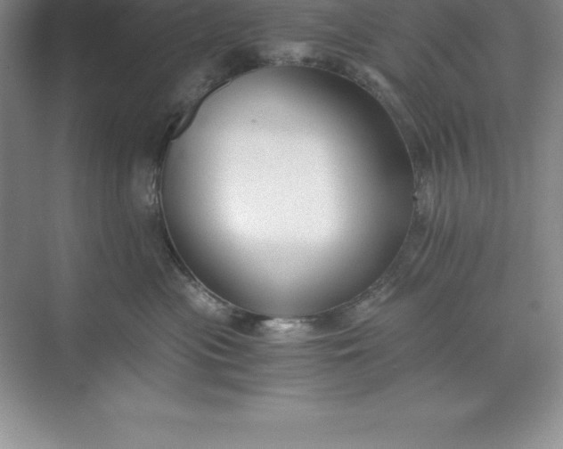 X0000071350477200607071729