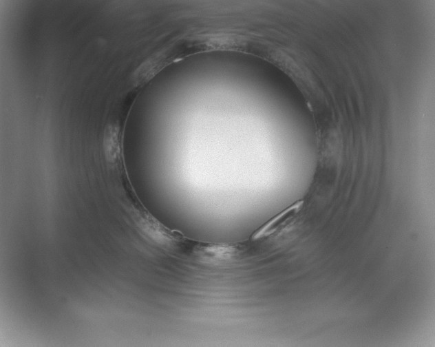 X0000071350478200607071729