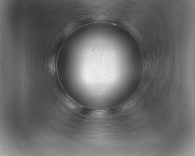 X0000071350479200607071729