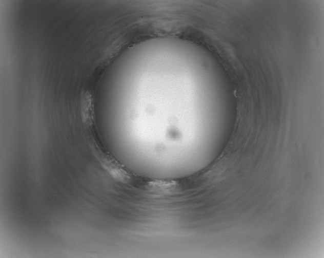 X0000071350480200607071729