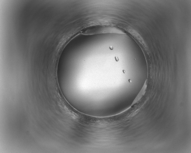 X0000071350481200607071728