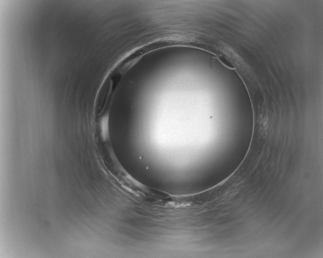 X0000071350484200607071728