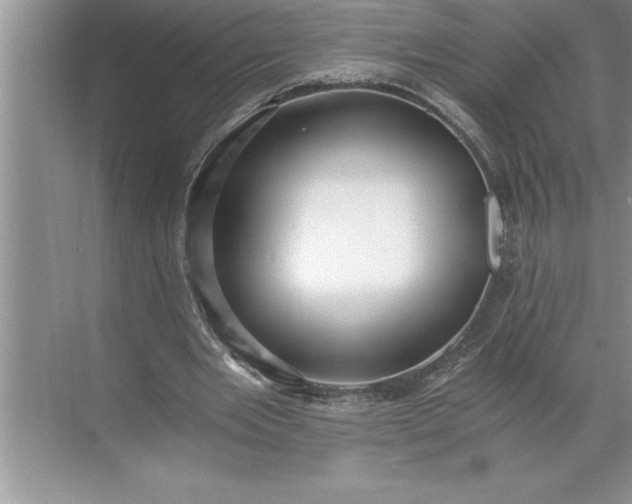 X0000071350485200607071728