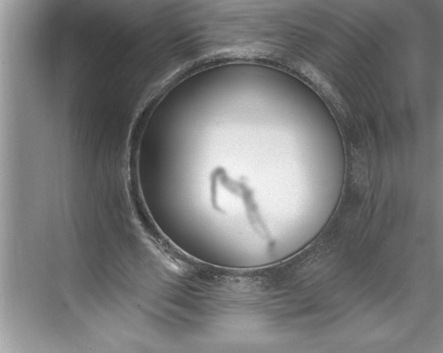 X0000071350486200607071728