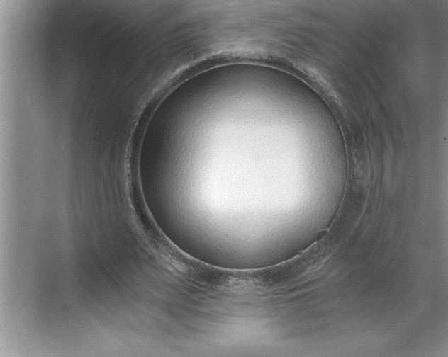 X0000071350487200607071728