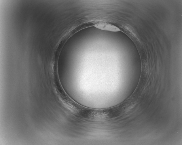 X0000071350491200607071728