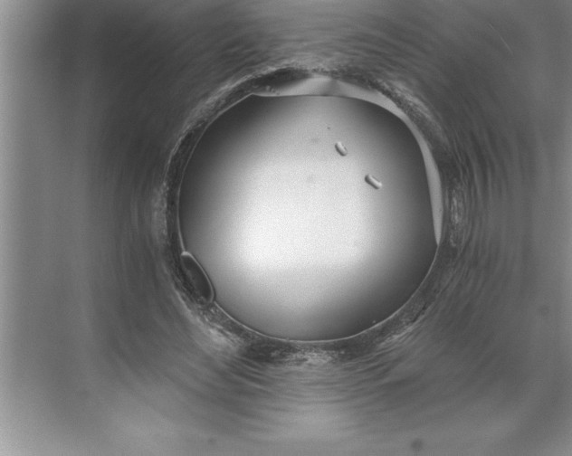 X0000071350492200607071728