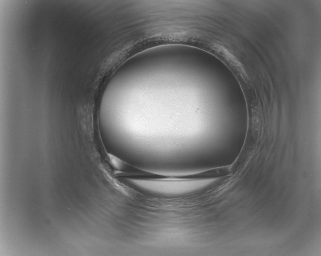 X0000071350493200607071728