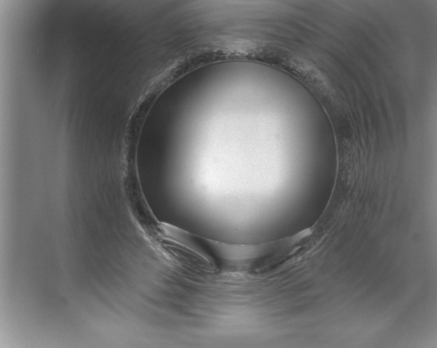 X0000071350496200607071728