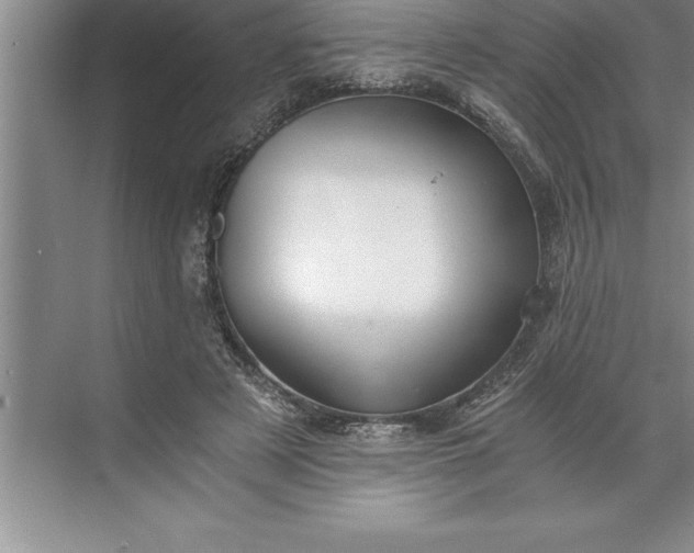 X0000071350497200607071728