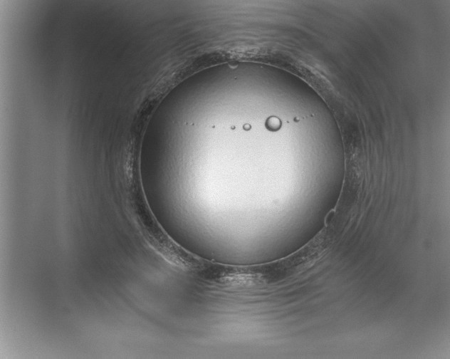 X0000071350499200607071728