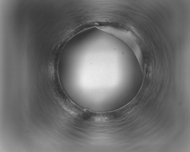 X0000071350500200607071728