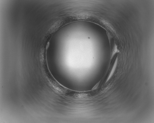 X0000071350501200607071728