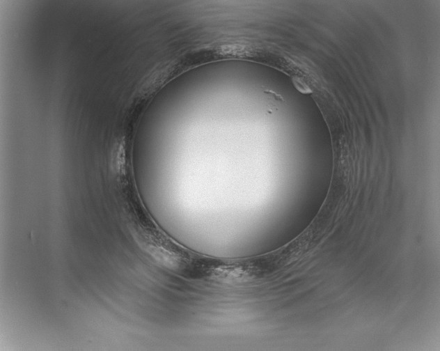 X0000071350502200607071728