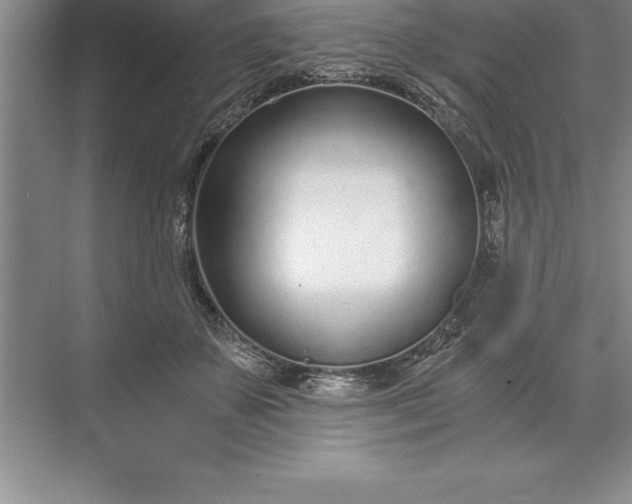 X0000071350507200607071727