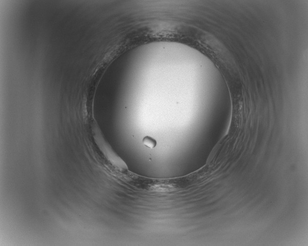 X0000071350508200607071727