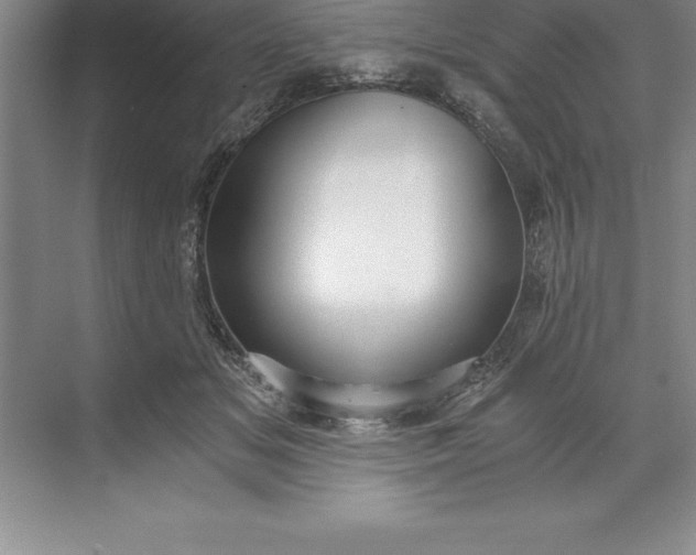 X0000071350509200607071727