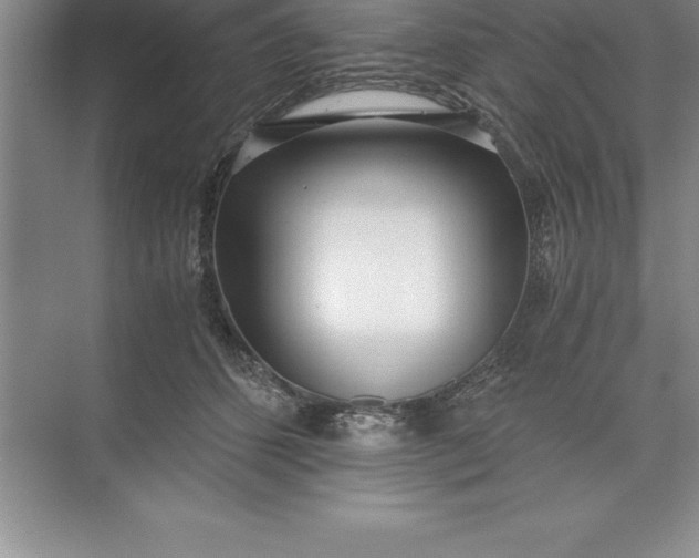 X0000071350512200607071727