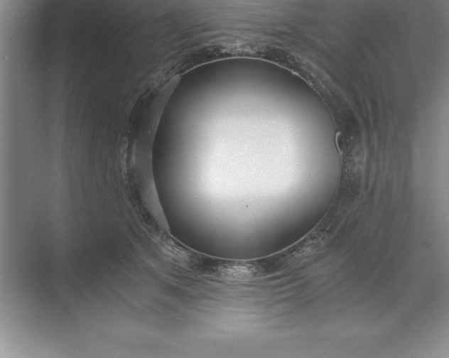 X0000071350513200607071727