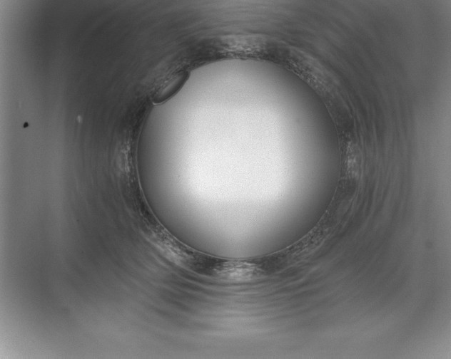 X0000071350514200607071727