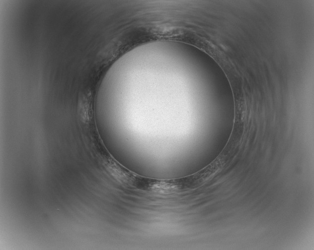 X0000071350515200607071727