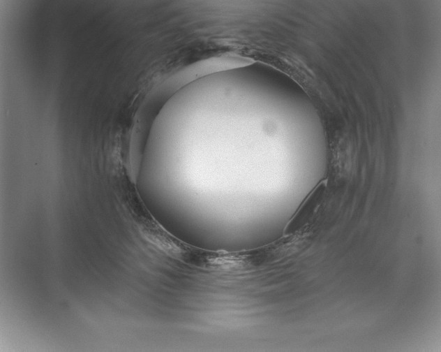 X0000071350516200607071727