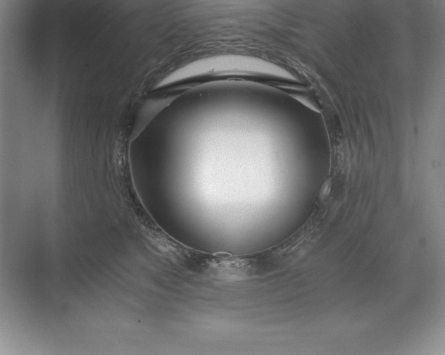 X0000071350517200607071727