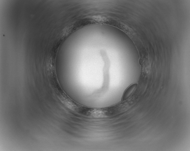 X0000071350518200607071727