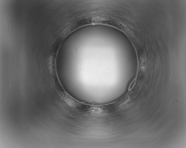 X0000071350519200607071727