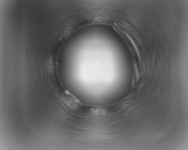 X0000071350520200607071727