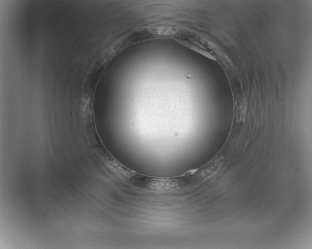 X0000071350521200607071727