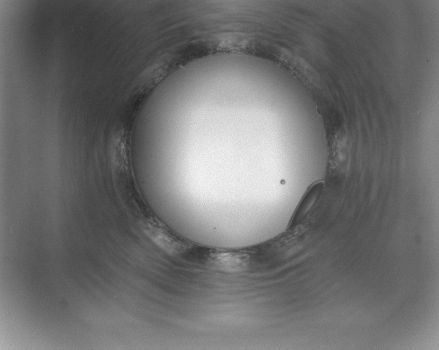 X0000071350522200607071727