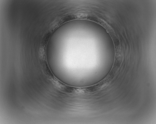 X0000071350523200607071727