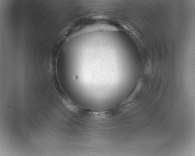 X0000071350524200607071727