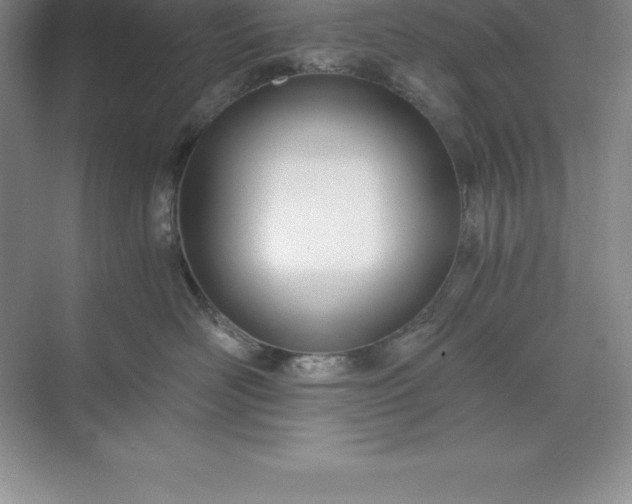 X0000071350526200607071727