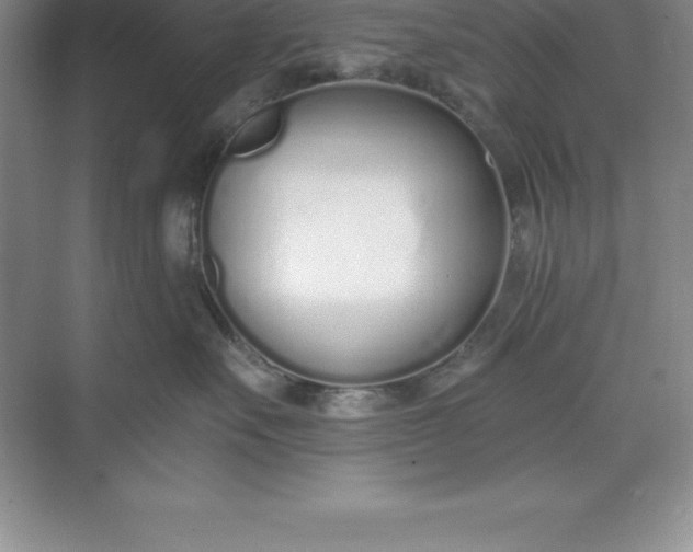 X0000071350527200607071727