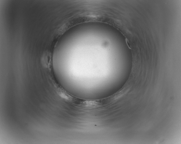 X0000071350528200607071727