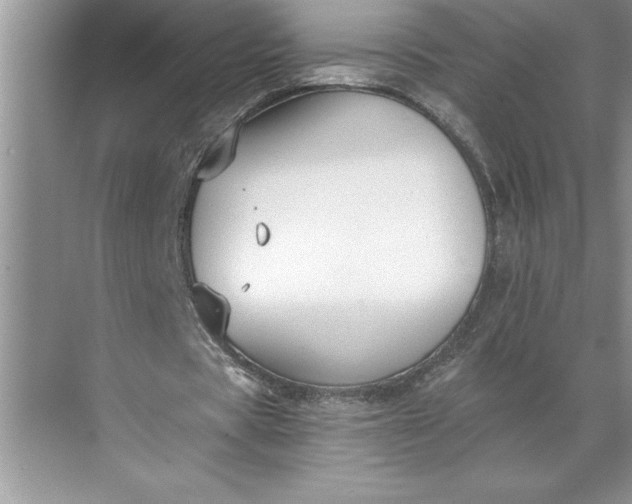 X0000071350529200607071726