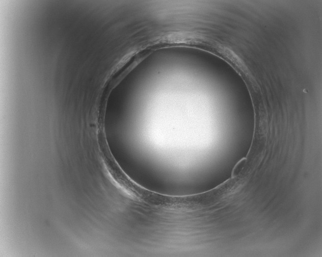 X0000071350530200607071726