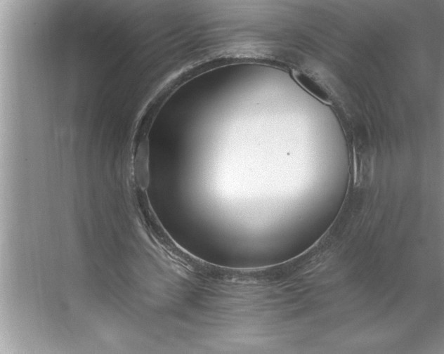 X0000071350531200607071726