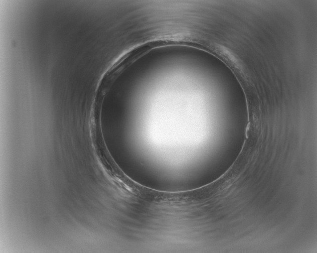 X0000071350532200607071726