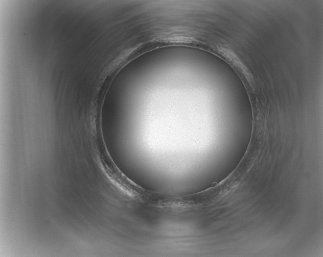 X0000071350533200607071726