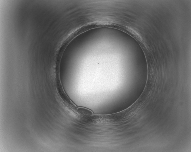 X0000071350535200607071726